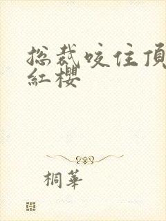 总裁咬住顶端的红樱