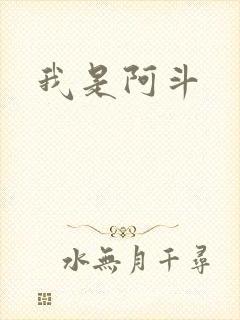 我是阿斗