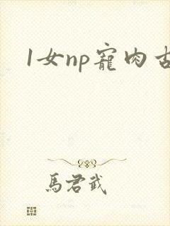 1女np宠肉古