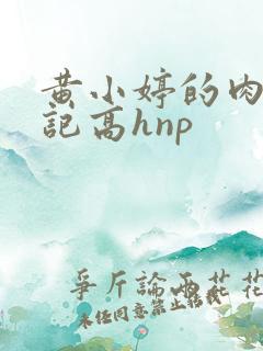 黄小婷的肉欲日记高hnp