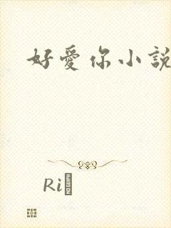 好爱你小说