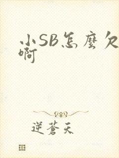 小SB怎么欠C啊