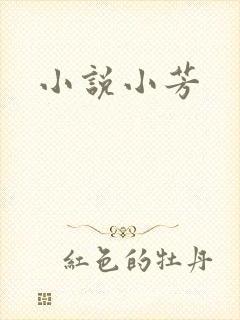 小说小芳