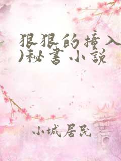 狠狠的撞入(h)秘书小说