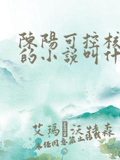 陈阳可控核聚变的小说叫什么名字