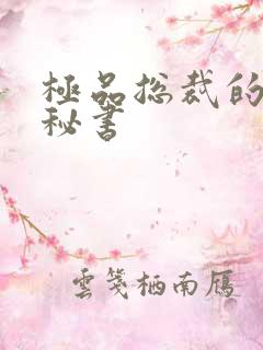 极品总裁的嚣张秘书