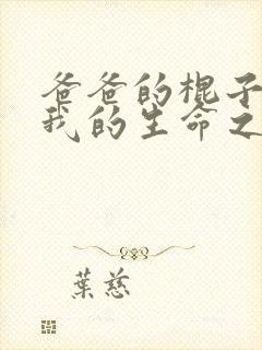 爸爸的棍子顶着我的生命之苏苗