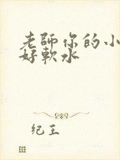 老师你的小兔子好软水
