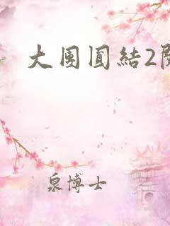 大团圆结2阅读
