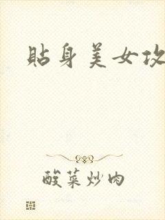 贴身美女攻略