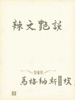 辣文艳说