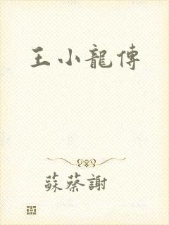 王小龙传