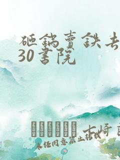 砸锅卖铁去上学30书院