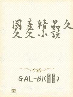 国产精品久久久久久小说