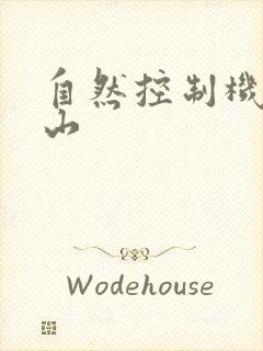 自然控制机器炎山