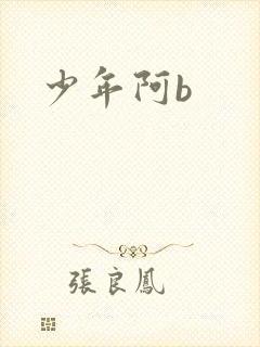 少年阿b