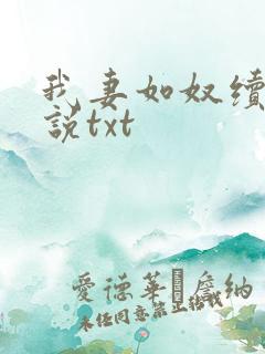 我妻如奴续写小说txt