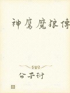 神鹰魔狼传