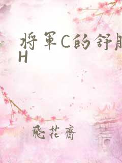将军C的舒服么H