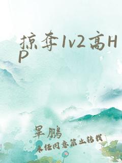 掠夺1v2高HP