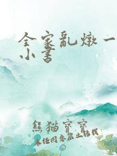 全家乱炖一锅烩小书