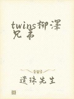 twins柳泽兄弟