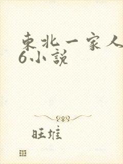 东北一家人1一6小说
