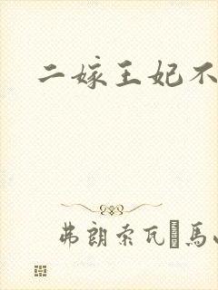 二嫁王妃不好惹