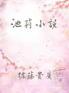 池莉小说