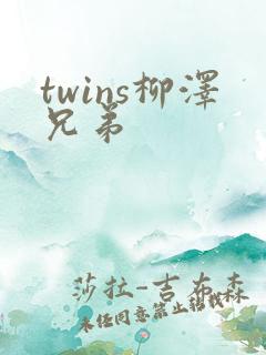 twins柳泽兄弟