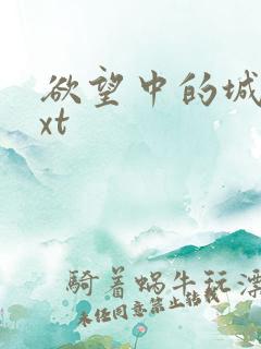 欲望中的城市txt