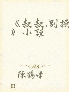 《叔叔,别撩我》小说