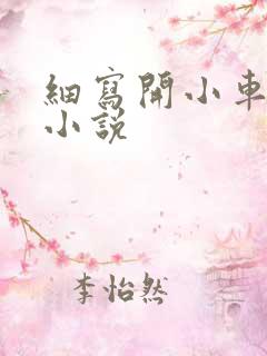 细写开小车车的小说