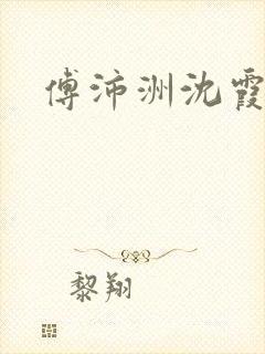 傅沛洲沈霞小说