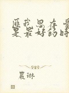 匪我思存 爱你是最好的时光