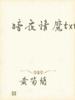 暗夜情魔txt