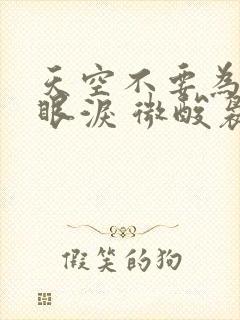 天空不要为我掉眼泪 微酸袅袅