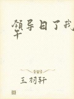 领导日了我一下午