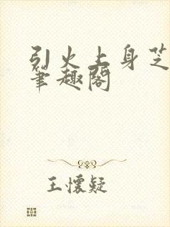 引火上身芝麻糖笔趣阁