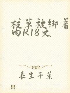 校草被绑着玩纯肉R18文