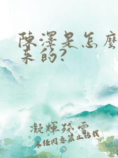 陈泽是怎么火起来的?