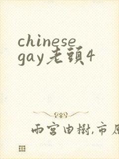 chinesegay老头4