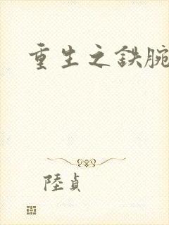 重生之铁腕大亨