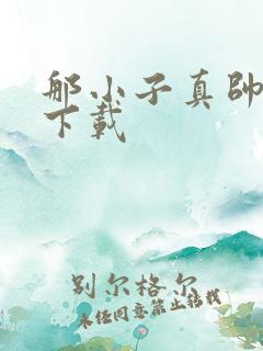 那小子真帅小说下载