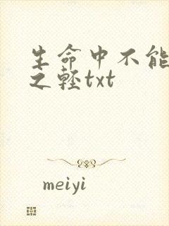 生命中不能承受之轻txt