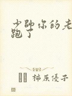 少帅你的老婆又跑了