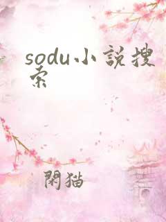 sodu小说搜索