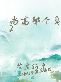 尚高那个臭小子2