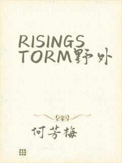 RISINGSTORM野外