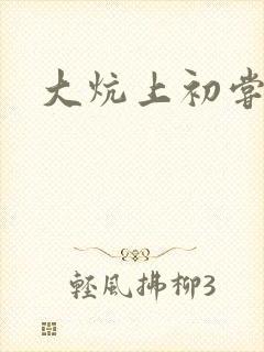 大炕上初尝云雨